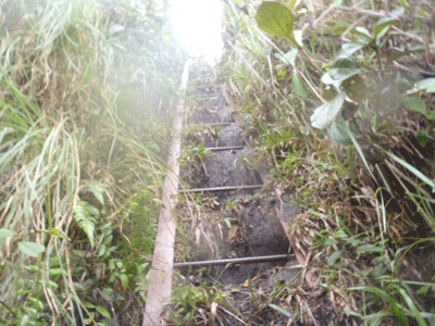 via ferrata echelle