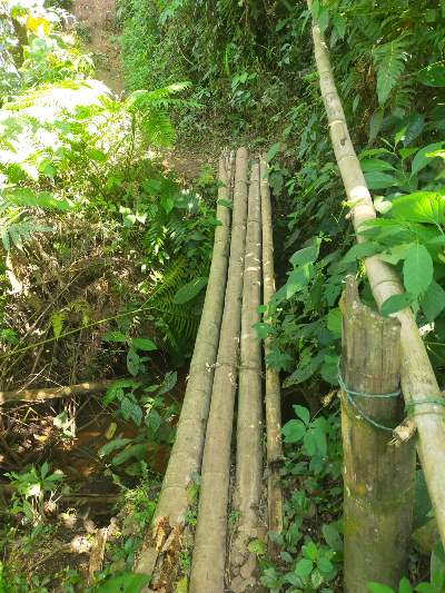 pont de bambou