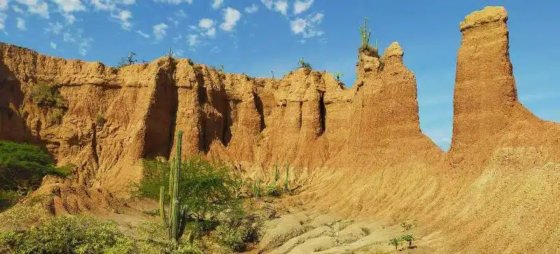 Sentinelles dans desert de tatacoa