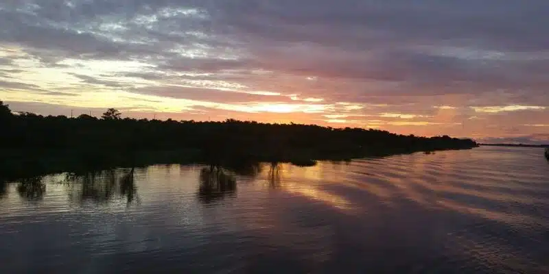 coucher soleil sur l amazonie