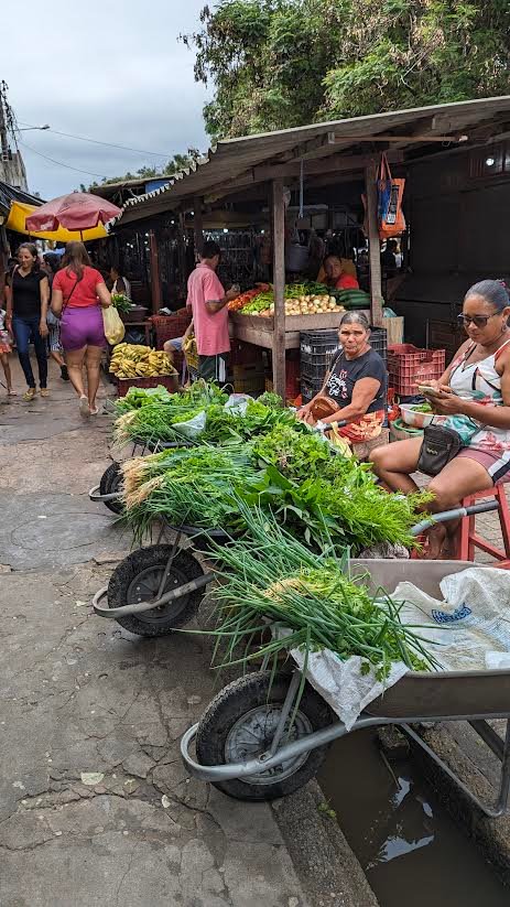 Marché de Barreirinhas, les légumes