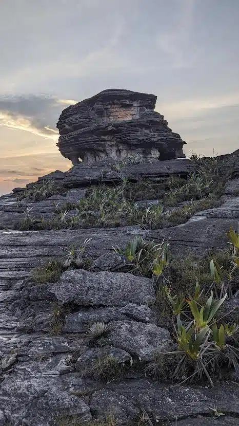 relief roraima