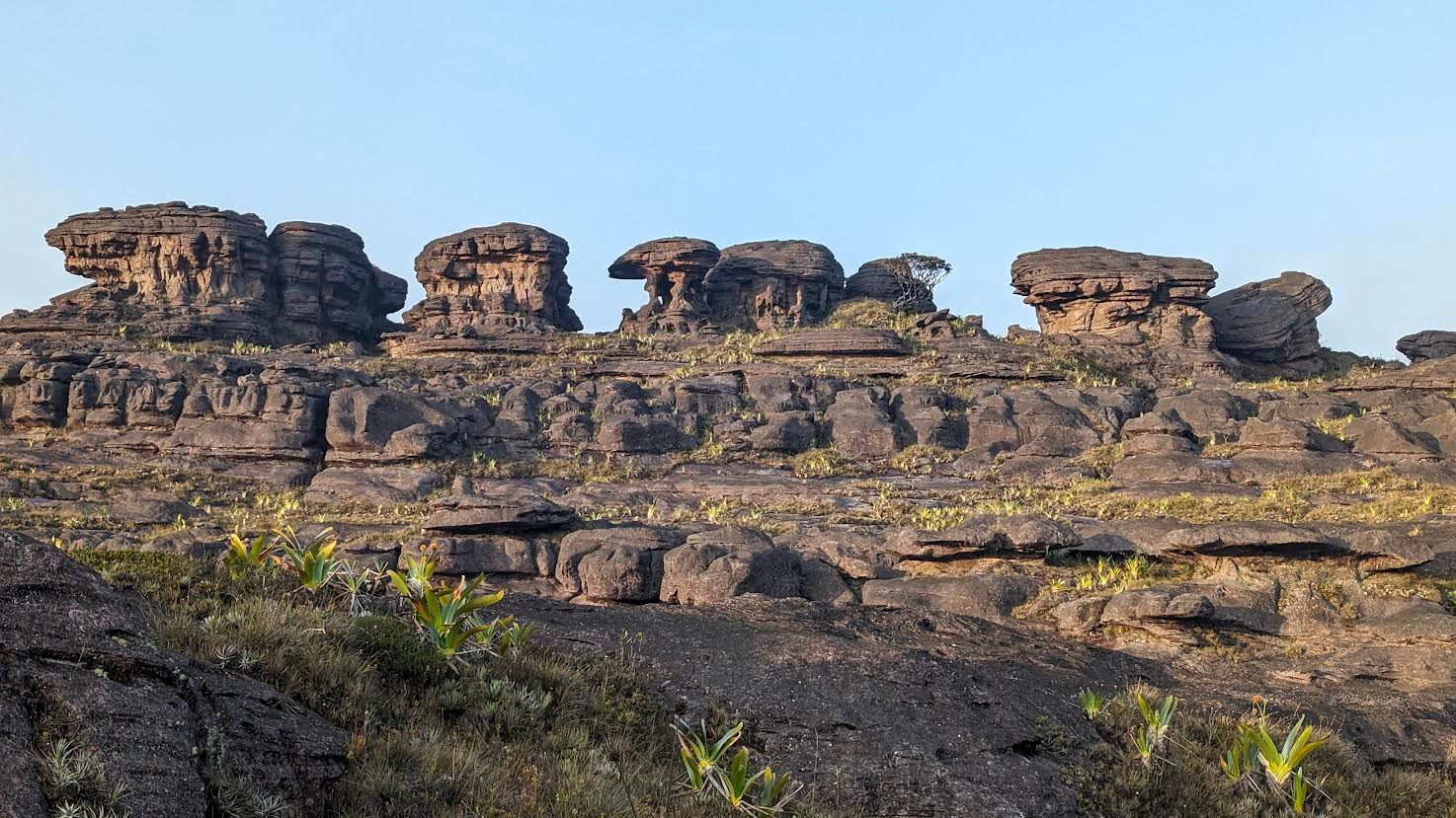 roraima plateau