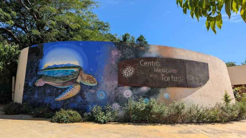 centre preservation des tortues de mazunte