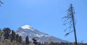 Orizaba