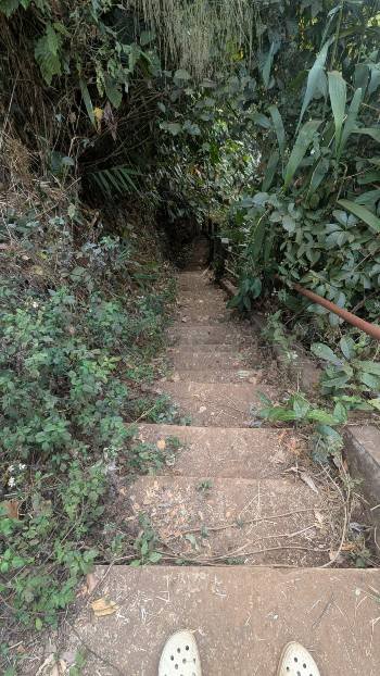 escalier à Tad Champi