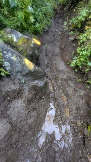 chemin boueux à l'Agua