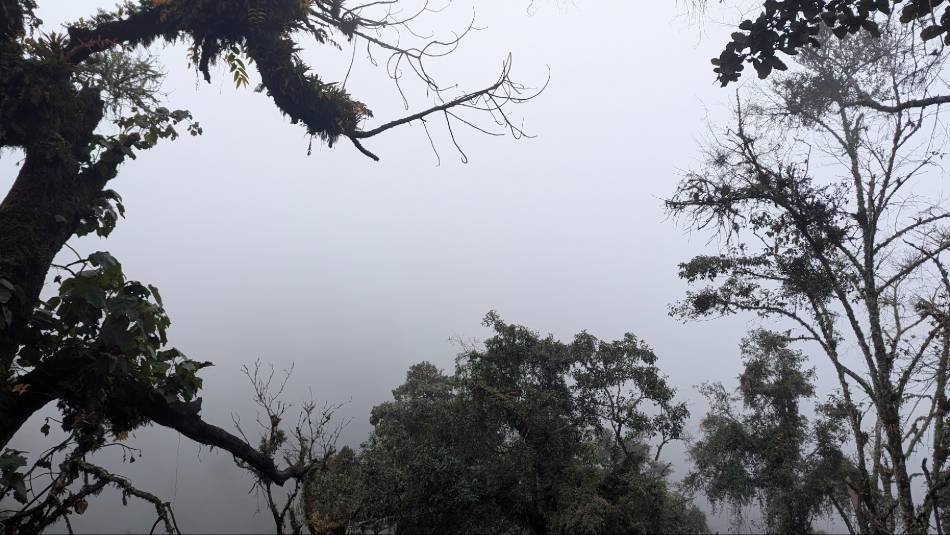 Vue du volcanAtitlan le 21 novembre