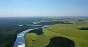 bahia negra