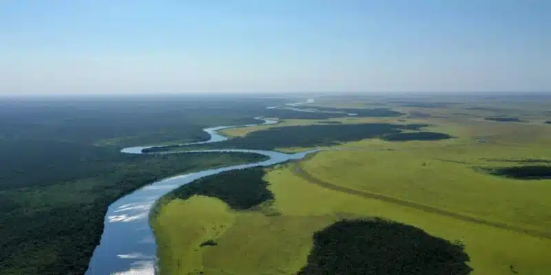 bahia negra