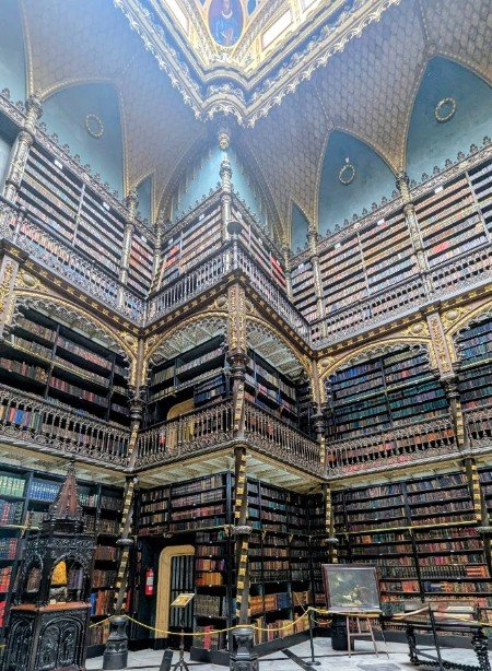 cabinet de lextura portuguaise