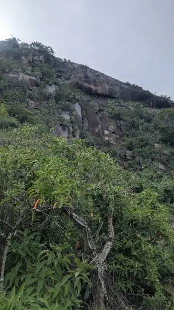 terrain d'aventure