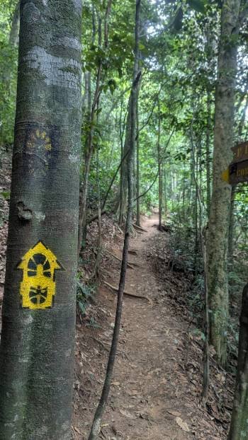 trail Corcovado