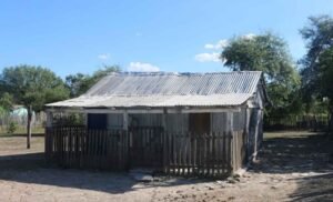 baraque tôle coimbra